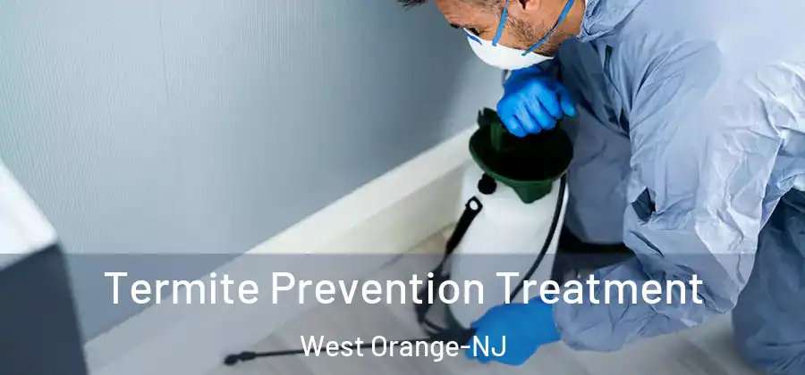 Termite Prevention Treatment West Orange-NJ