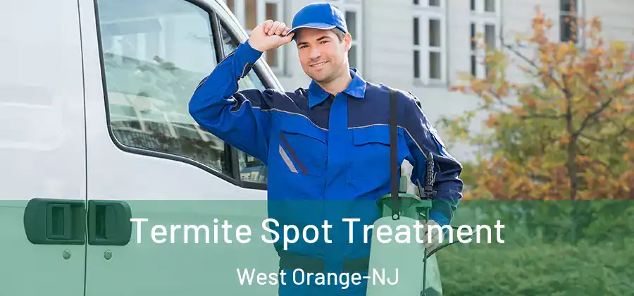 Termite Spot Treatment West Orange-NJ