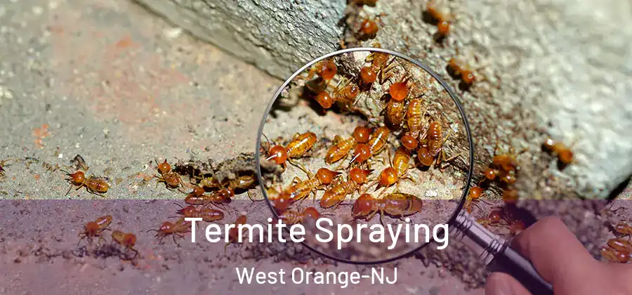 Termite Spraying West Orange-NJ