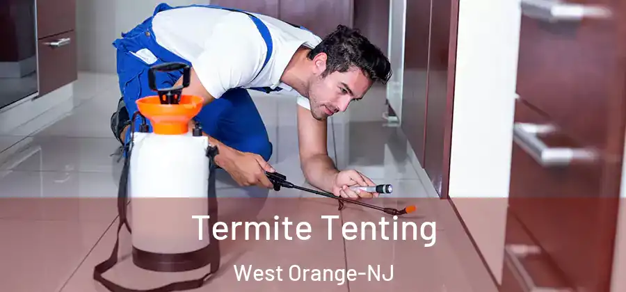 Termite Tenting West Orange-NJ