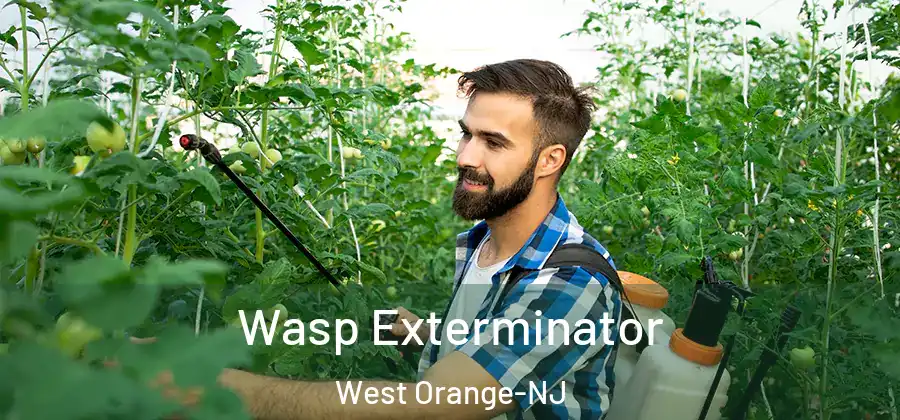  Wasp Exterminator West Orange-NJ