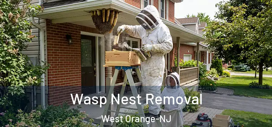 Wasp Nest Removal West Orange-NJ