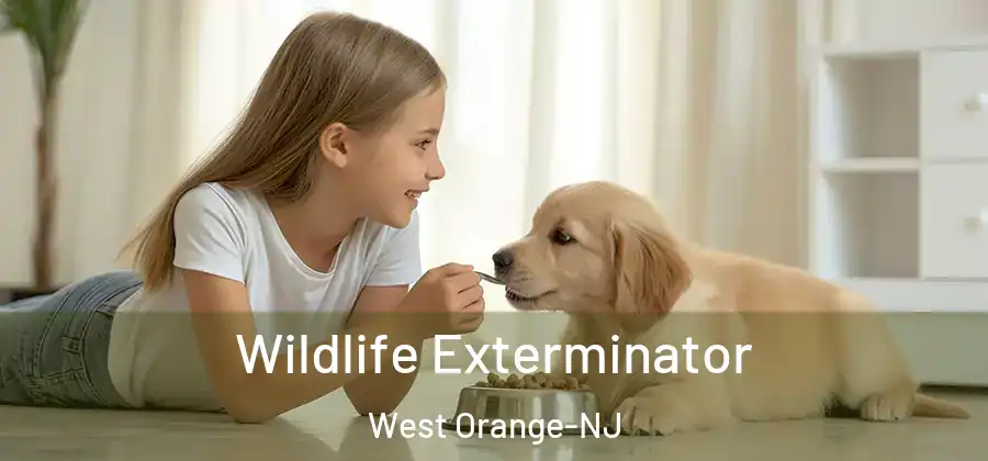 Wildlife Exterminator West Orange-NJ