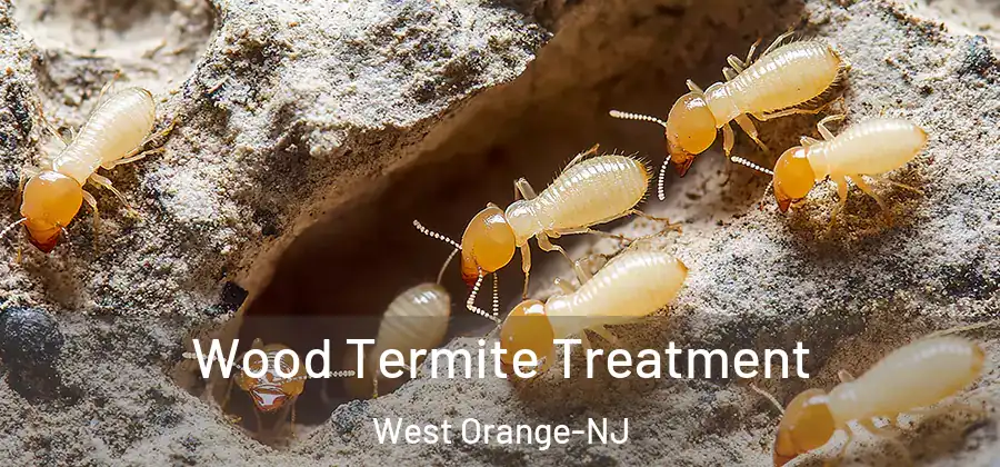 Wood Termite Treatment West Orange-NJ