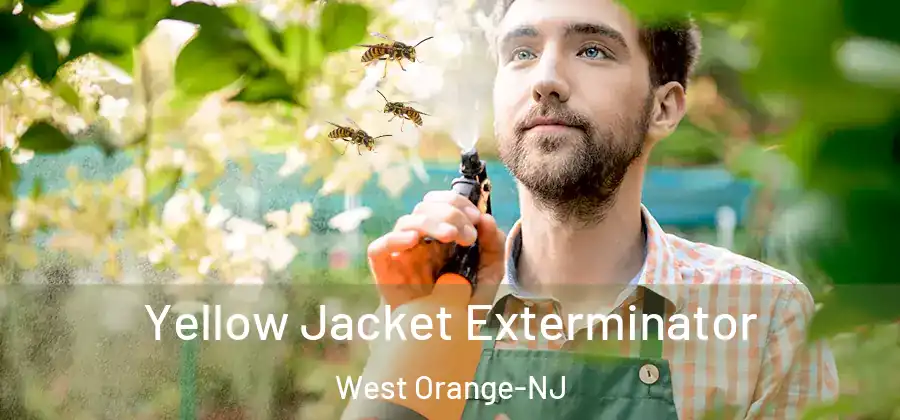 Yellow Jacket Exterminator West Orange-NJ